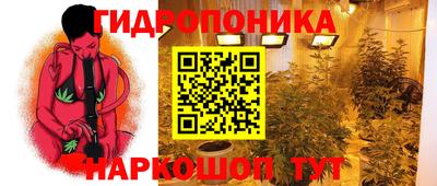 хмурый Ликино-Дулёво