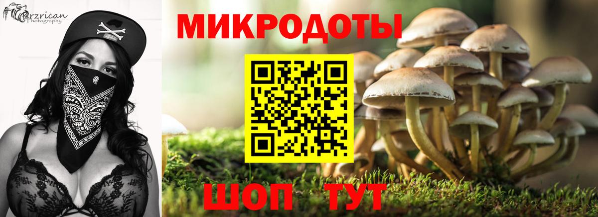 Галлюциногенные грибы Psilocybine cubensis  Вход с VPN  Златоуст  Псилоцибиновые грибы прущие грибы 